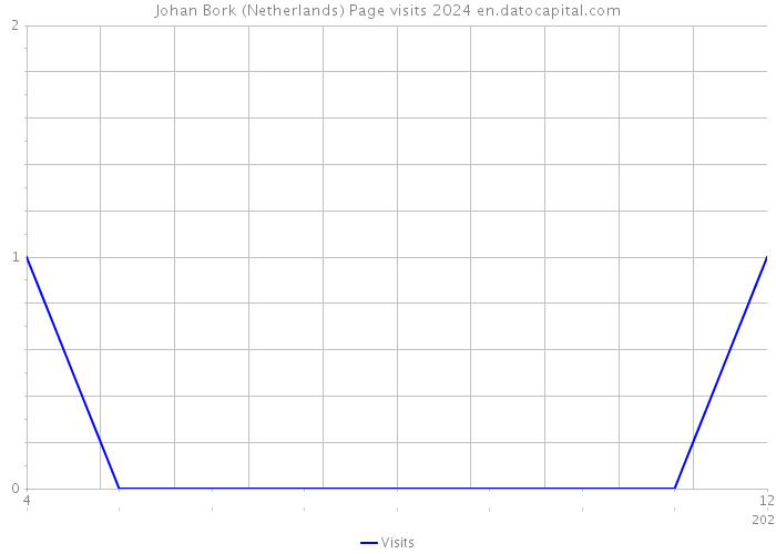 Johan Bork (Netherlands) Page visits 2024 