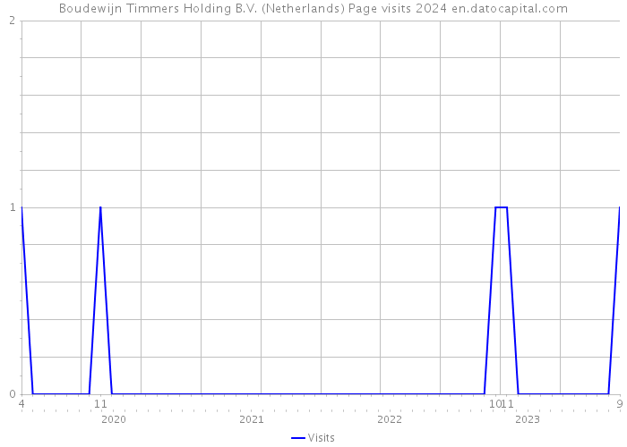 Boudewijn Timmers Holding B.V. (Netherlands) Page visits 2024 