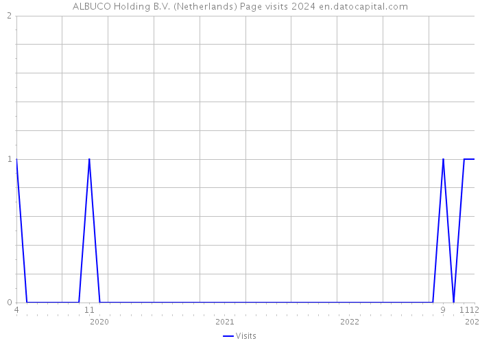 ALBUCO Holding B.V. (Netherlands) Page visits 2024 