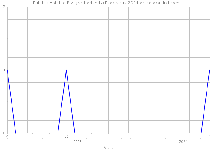 Publiek Holding B.V. (Netherlands) Page visits 2024 