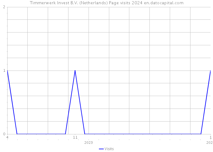 Timmerwerk Invest B.V. (Netherlands) Page visits 2024 