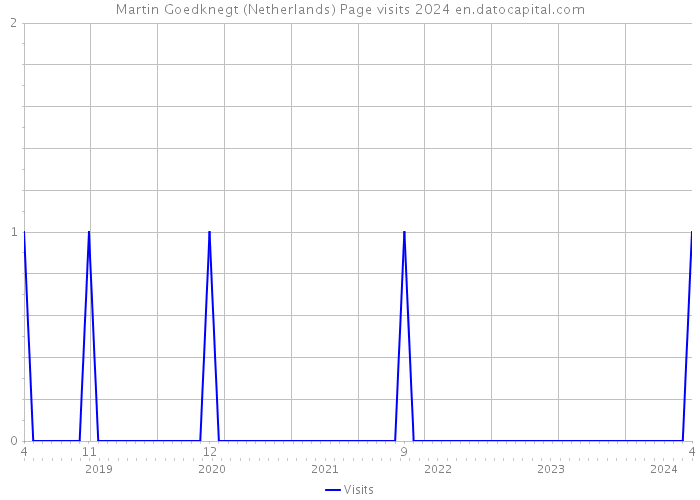 Martin Goedknegt (Netherlands) Page visits 2024 