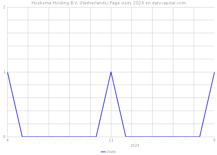 Hoekema Holding B.V. (Netherlands) Page visits 2024 