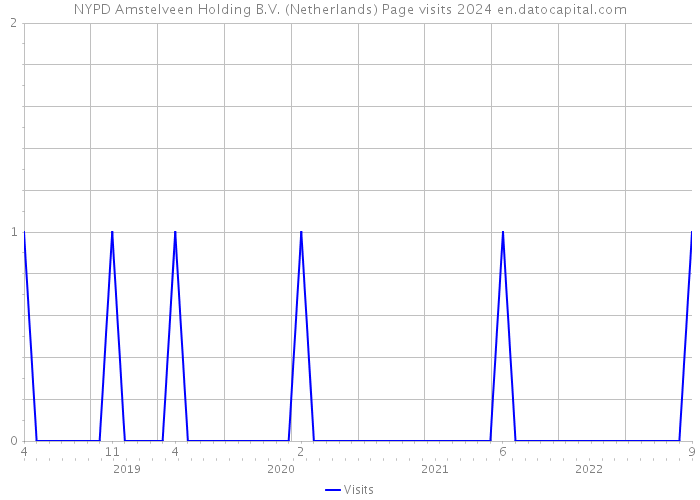 NYPD Amstelveen Holding B.V. (Netherlands) Page visits 2024 