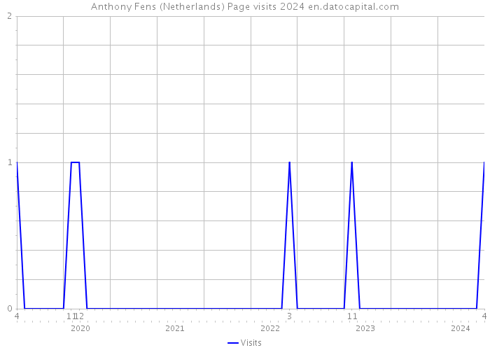 Anthony Fens (Netherlands) Page visits 2024 