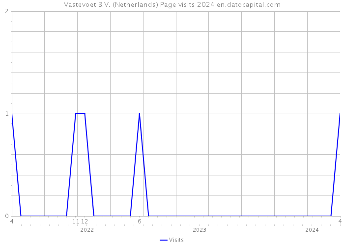 Vastevoet B.V. (Netherlands) Page visits 2024 