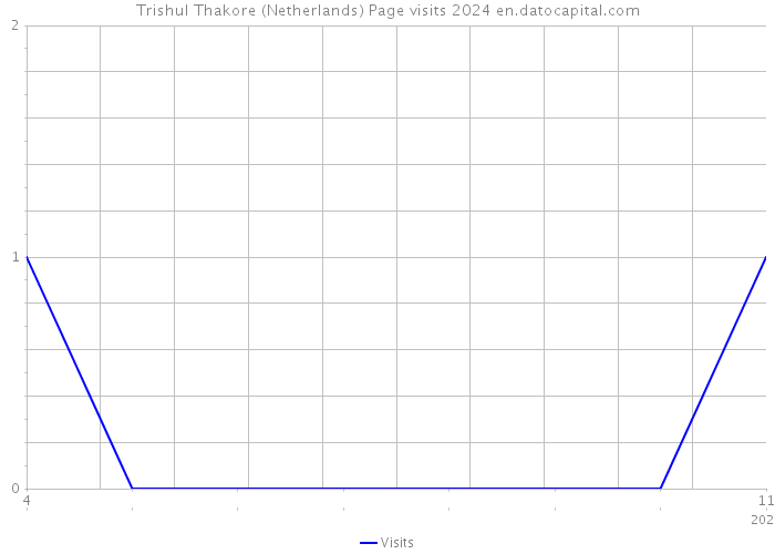 Trishul Thakore (Netherlands) Page visits 2024 