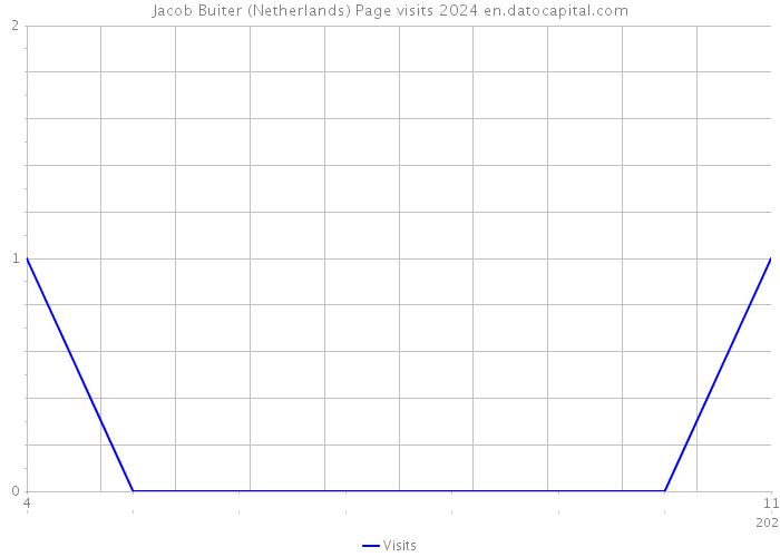 Jacob Buiter (Netherlands) Page visits 2024 