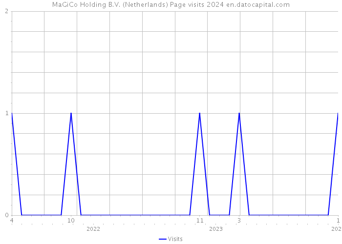 MaGiCo Holding B.V. (Netherlands) Page visits 2024 