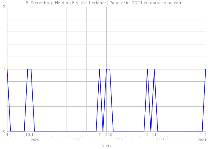 R. Sterenborg Holding B.V. (Netherlands) Page visits 2024 