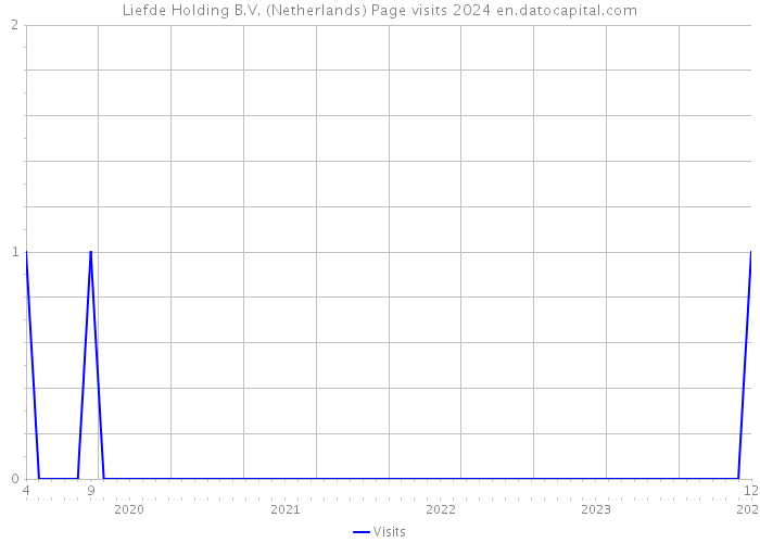 Liefde Holding B.V. (Netherlands) Page visits 2024 