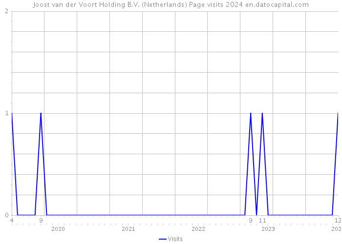 Joost van der Voort Holding B.V. (Netherlands) Page visits 2024 