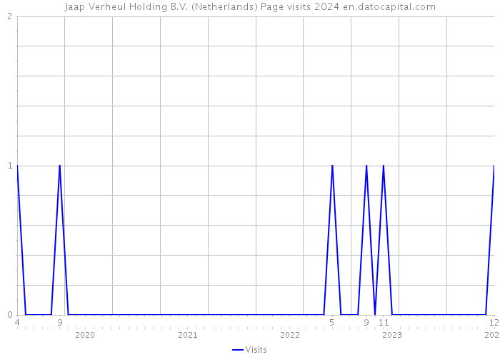 Jaap Verheul Holding B.V. (Netherlands) Page visits 2024 