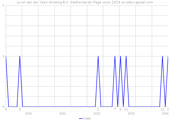Joost van der Veen Holding B.V. (Netherlands) Page visits 2024 