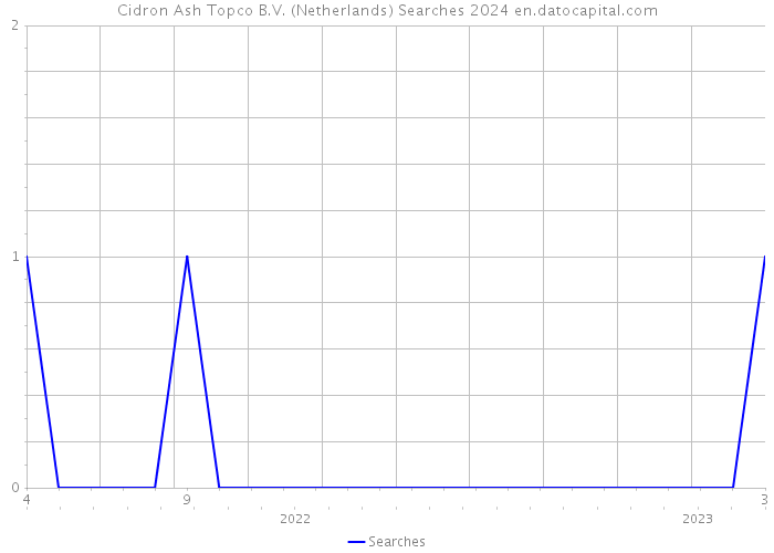 Cidron Ash Topco B.V. (Netherlands) Searches 2024 