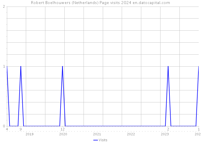 Robert Boelhouwers (Netherlands) Page visits 2024 