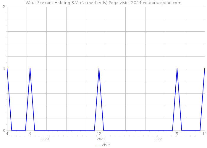 Wout Zeekant Holding B.V. (Netherlands) Page visits 2024 