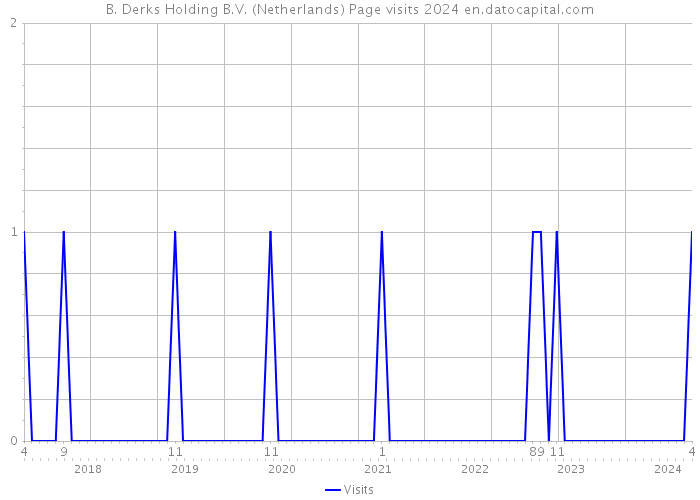 B. Derks Holding B.V. (Netherlands) Page visits 2024 