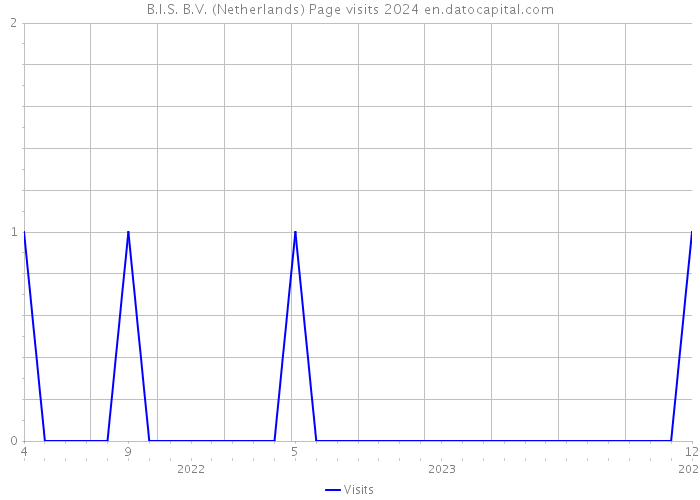 B.I.S. B.V. (Netherlands) Page visits 2024 