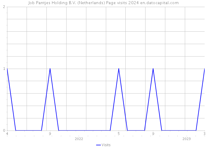 Job Pantjes Holding B.V. (Netherlands) Page visits 2024 