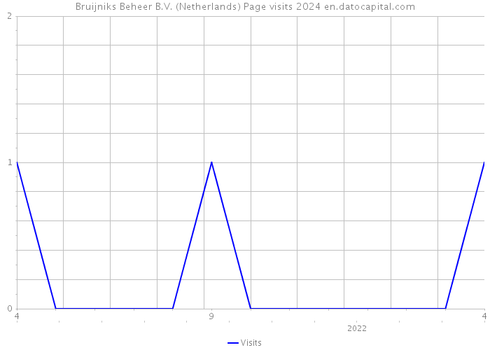 Bruijniks Beheer B.V. (Netherlands) Page visits 2024 