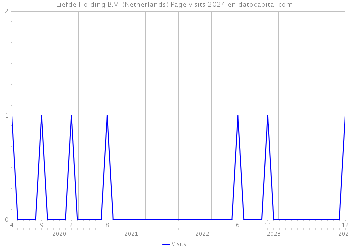 Liefde Holding B.V. (Netherlands) Page visits 2024 