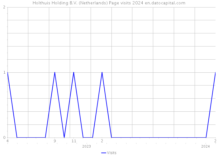 Holthuis Holding B.V. (Netherlands) Page visits 2024 
