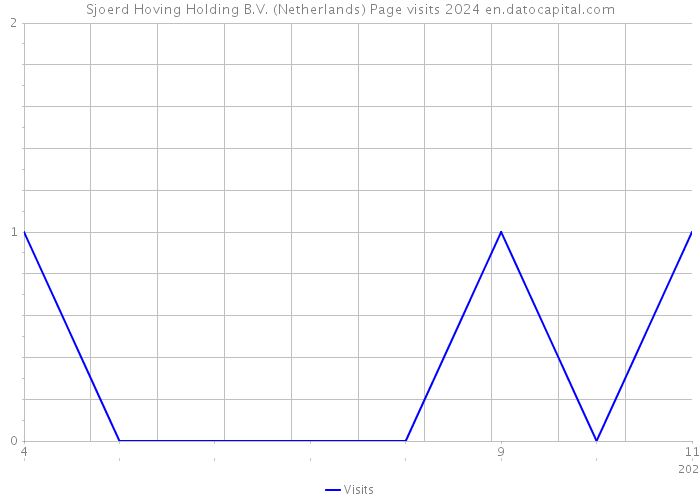 Sjoerd Hoving Holding B.V. (Netherlands) Page visits 2024 