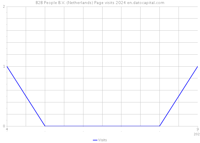 B2B People B.V. (Netherlands) Page visits 2024 