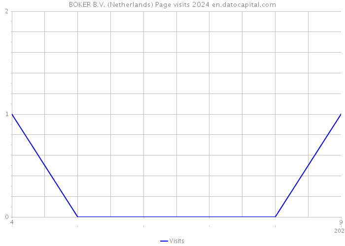 BOKER B.V. (Netherlands) Page visits 2024 