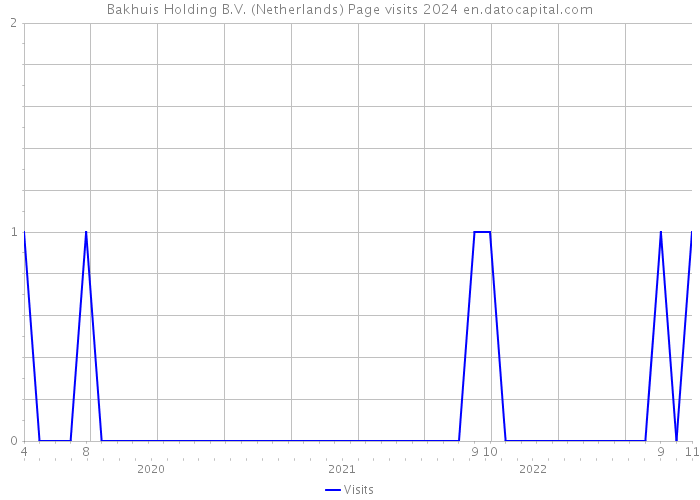 Bakhuis Holding B.V. (Netherlands) Page visits 2024 