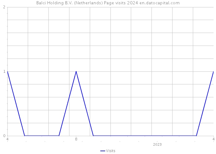 Balci Holding B.V. (Netherlands) Page visits 2024 