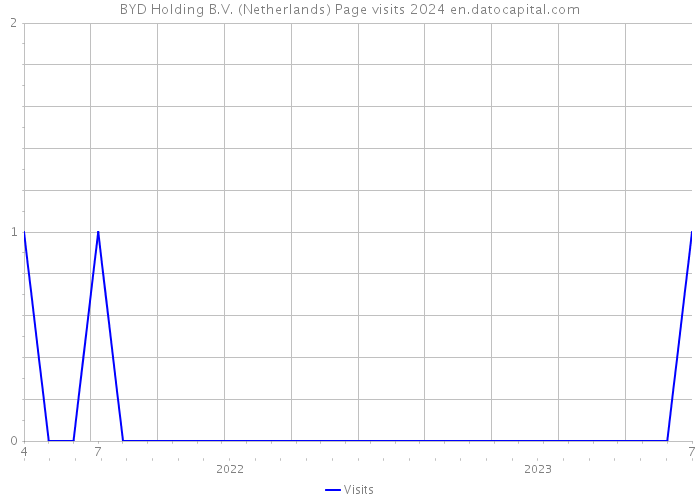 BYD Holding B.V. (Netherlands) Page visits 2024 
