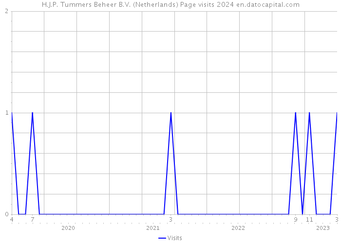 H.J.P. Tummers Beheer B.V. (Netherlands) Page visits 2024 