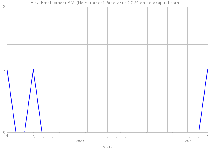 First Employment B.V. (Netherlands) Page visits 2024 