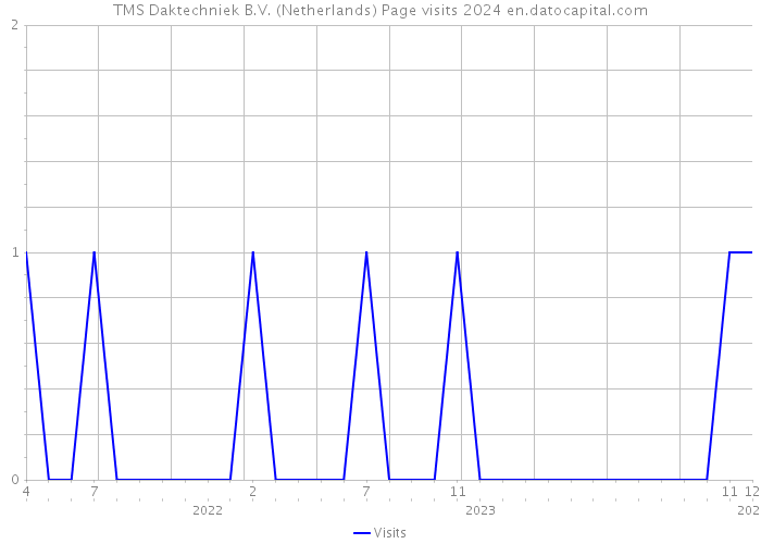 TMS Daktechniek B.V. (Netherlands) Page visits 2024 