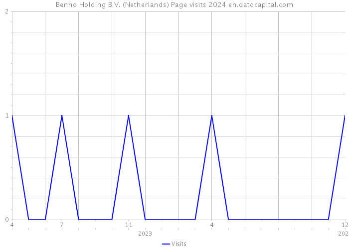 Benno Holding B.V. (Netherlands) Page visits 2024 