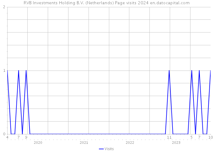 RVB Investments Holding B.V. (Netherlands) Page visits 2024 