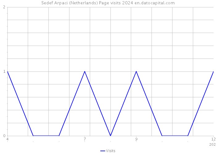 Sedef Arpaci (Netherlands) Page visits 2024 