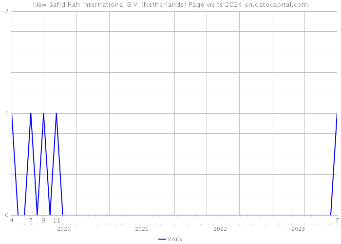 New Safid Rah International B.V. (Netherlands) Page visits 2024 