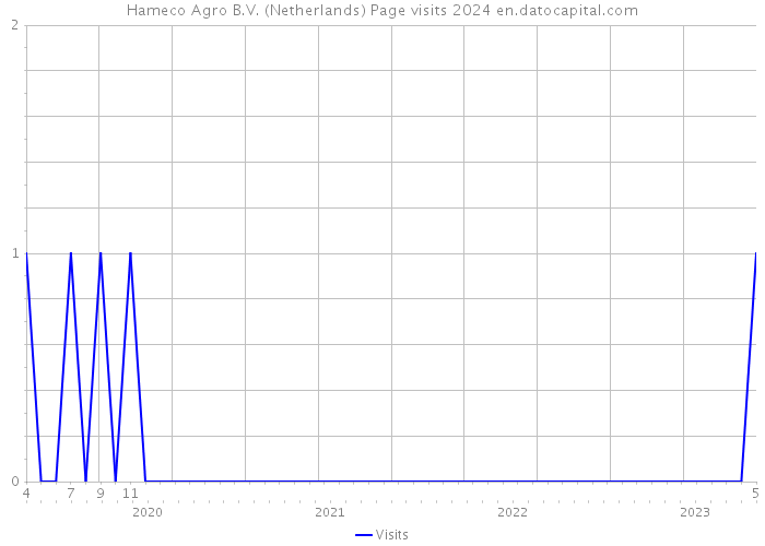 Hameco Agro B.V. (Netherlands) Page visits 2024 