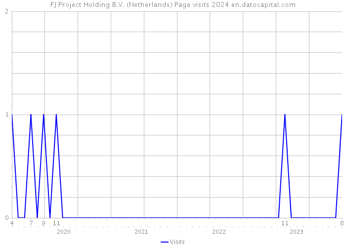 FJ Project Holding B.V. (Netherlands) Page visits 2024 