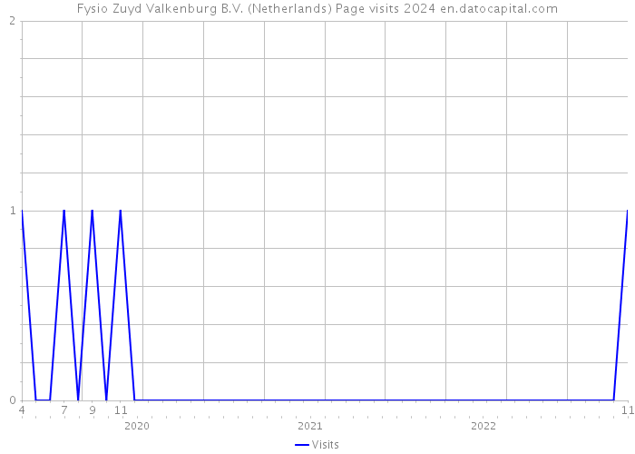 Fysio Zuyd Valkenburg B.V. (Netherlands) Page visits 2024 