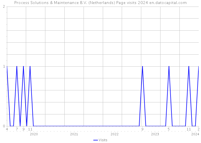 Process Solutions & Maintenance B.V. (Netherlands) Page visits 2024 