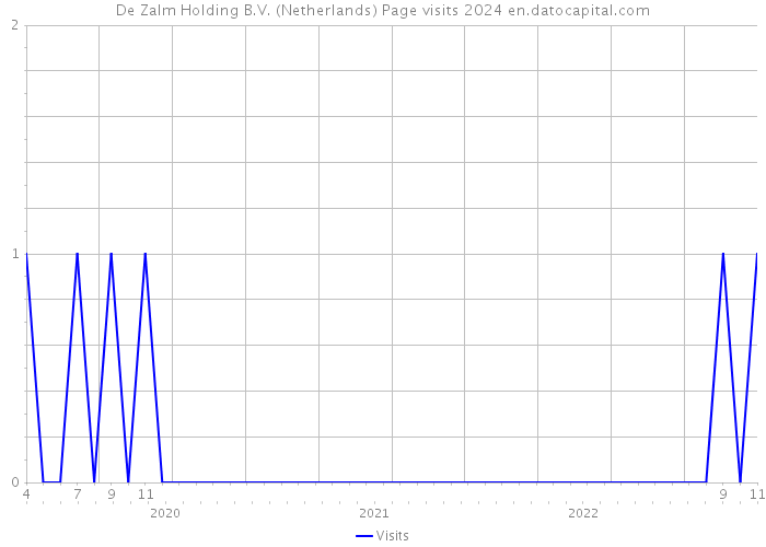 De Zalm Holding B.V. (Netherlands) Page visits 2024 