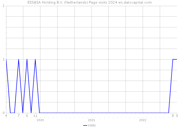 ESS&SA Holding B.V. (Netherlands) Page visits 2024 
