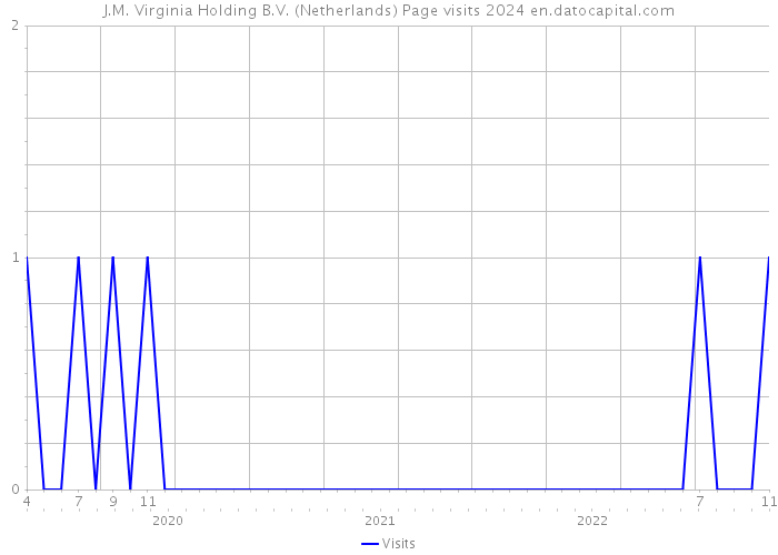 J.M. Virginia Holding B.V. (Netherlands) Page visits 2024 
