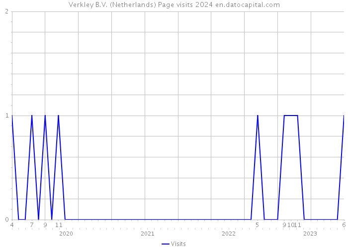 Verkley B.V. (Netherlands) Page visits 2024 