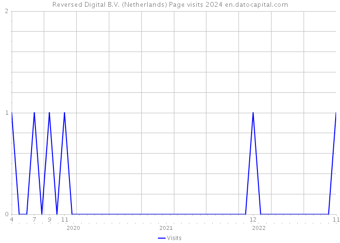 Reversed Digital B.V. (Netherlands) Page visits 2024 