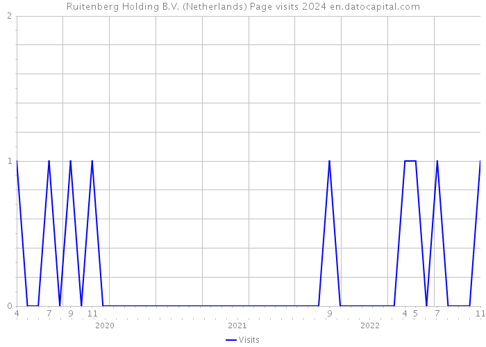 Ruitenberg Holding B.V. (Netherlands) Page visits 2024 